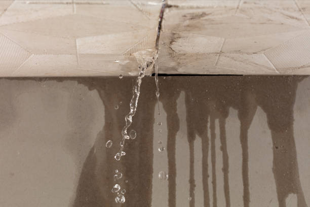 Professional Structural Drying technician working in Moscow, OH